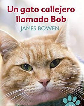 WhatsApp Image 2020-01-19 at 21.26.37.jp