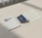 Work visa + employment