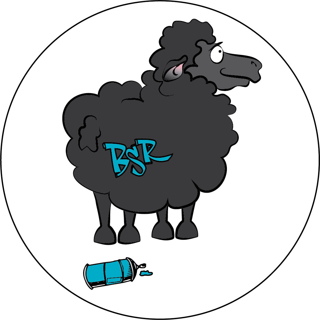 BSR HEADSHOT 3.5.png