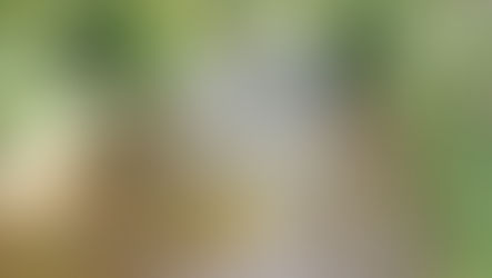 "J'me baladais sur l'avenue, le coeur ouvert à l'inconnu " (Baden-Baden ou la