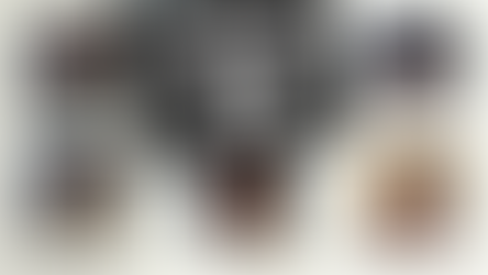 Reflections From Our Apprentices: The Latest at DNASTREAM