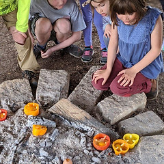 more than s'mores feb 2020.jpg