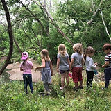 Wild Life Forest Preschool.jpg