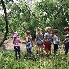 Wild Life Forest Preschool.jpg