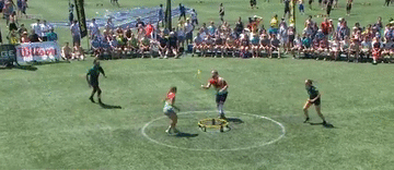 spike-03.gif
