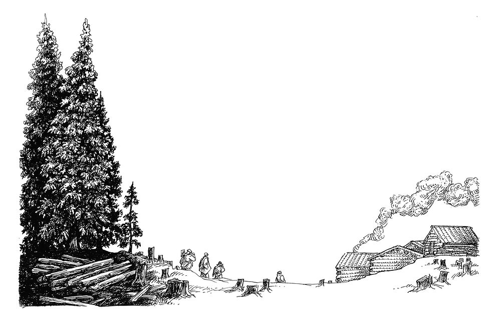 Loggers and Tall Trees