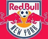red bulls.webp