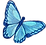 Butterfly 111.png