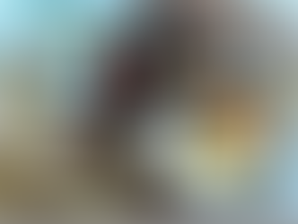 The Arguments Against Romanticism and the Blue Flower