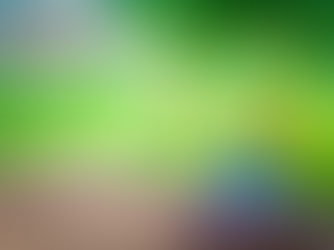 Sparkle Valley und Alice im Wunderland