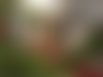 Тържествена св. Литургия и молебен за новата 2024 година в катедралния храм „Св. Неделя“