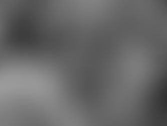 Проповед в чест и памет на св. мъченик Трифон