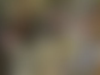 С архиерейска Литургия жителите на с. Студена отбелязаха Архангеловден