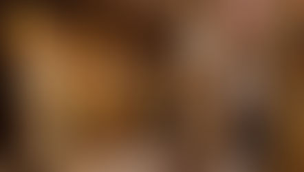 Тържествена света Литургия по повод изпълването на 25 години от каноническия избор на митрополит Гавриил за кириарх на Ловчанската митрополитска катедра