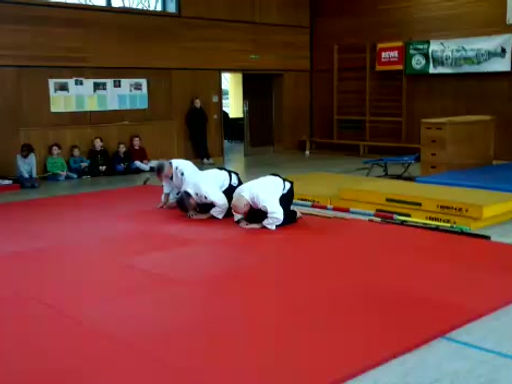 Aikido-Vorführung beim TV Randegg