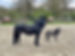 IMG_8184.jpeg