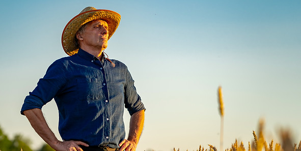 selective-focus-man-standing-rape-wheat-field-harvest-season-yellow-wheat-blue-sky.jpg