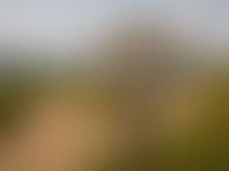 Guidepost about facilitation 