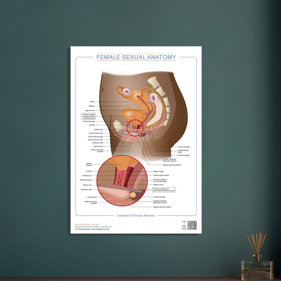Demystifying Female Genitalia: Chapter 3 - Female Prostate, Skene's Glands, and Para-urethral Glands – What's What?