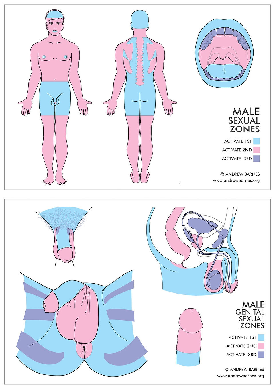 Men's Tantric Sex & Energy Massage Zones Map