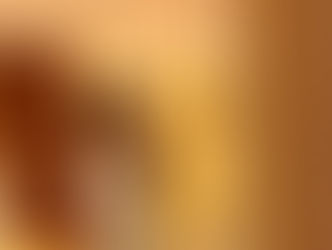 ヴィーナスライン🦋