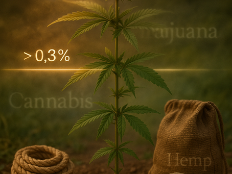 Cannabis? Hemp? Marijuana? - What is it!!