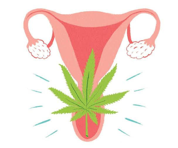 Medicinal Cannabis for Relief from Menstrual Pain 