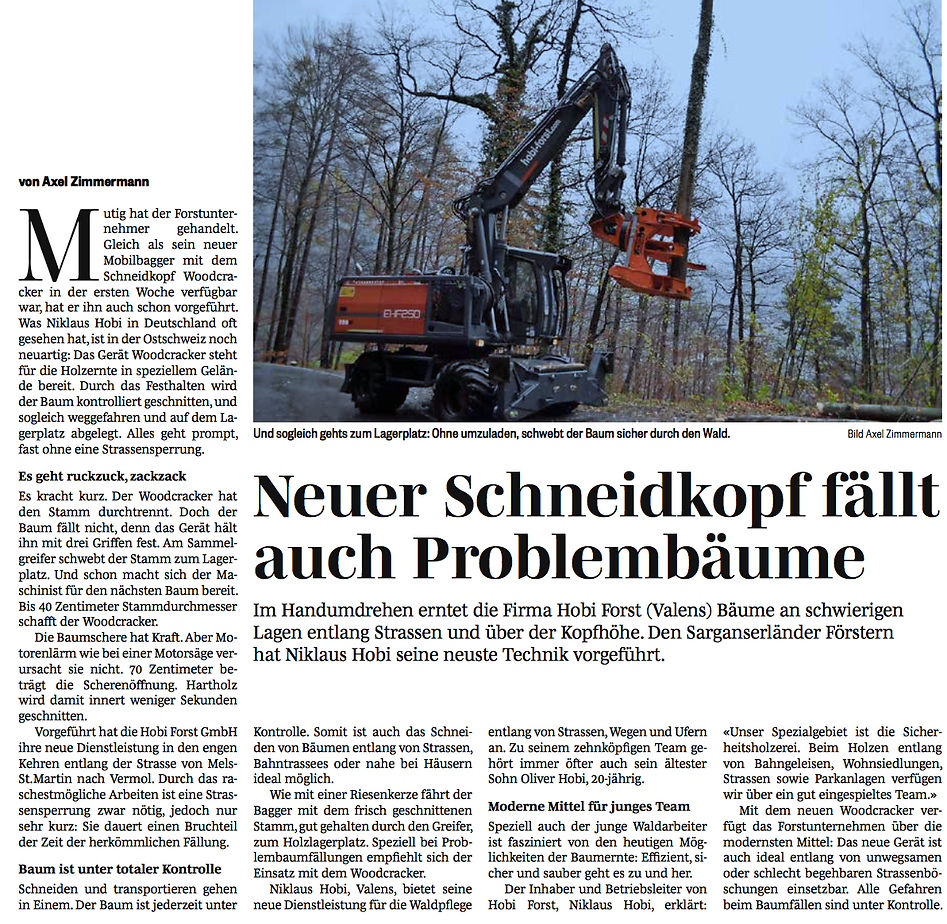 Sarganserländer neuer Schneidkopf fällt Problembäume