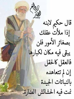 أقوال الحكم