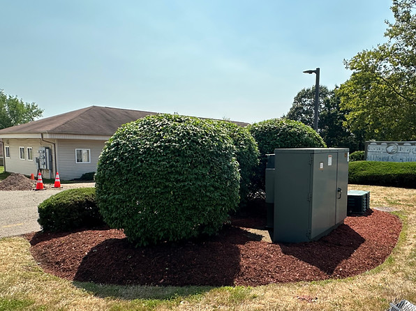 photo jul 29 2025, 2 56 28 pm.jpg