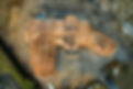 DJI_0107.jpg