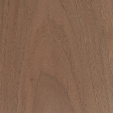 black-walnut.jpeg