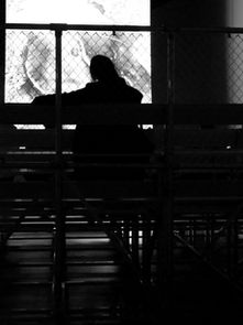 Photograph of the Month – October 2025