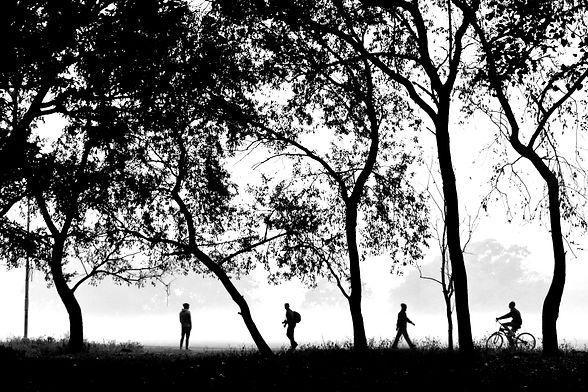 _DSC1535-01.jpeg