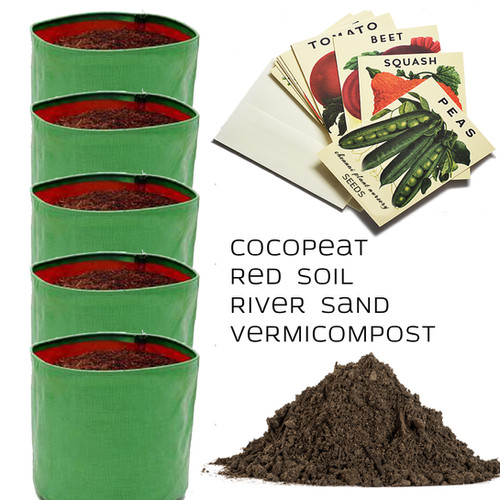 Terrace Garden Kit 5 ChennaiPlantNursery