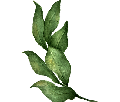 Leaves 4_edited_edited_edited.png