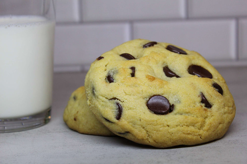 Thumbnail:  Chocolate Chip