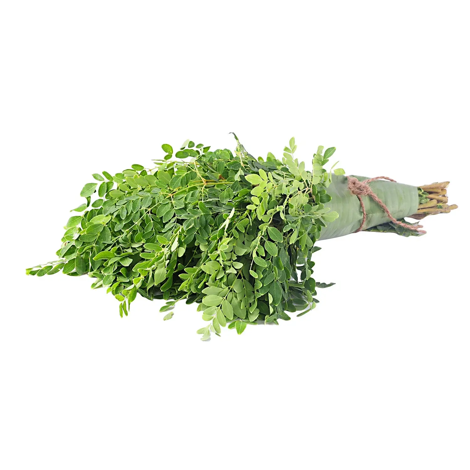 முருங்கைக்கீரை — Moringa Leaves