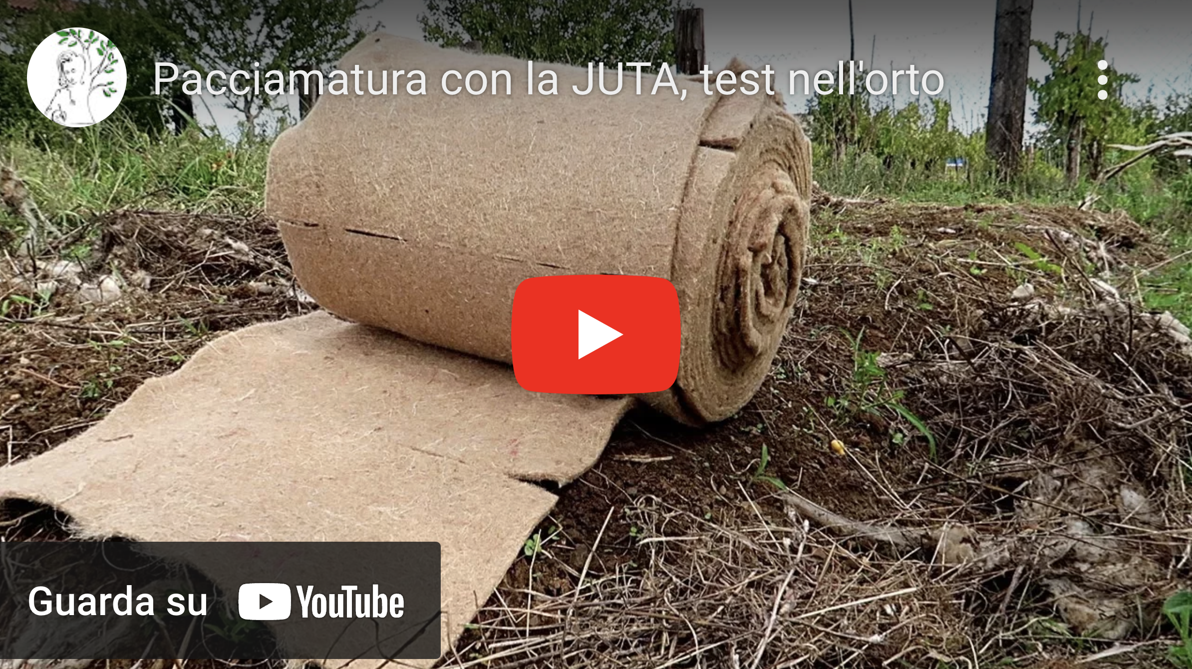 Video Quadri Pacciamanti