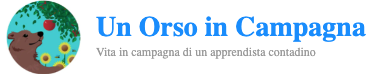 Orso In Campagna