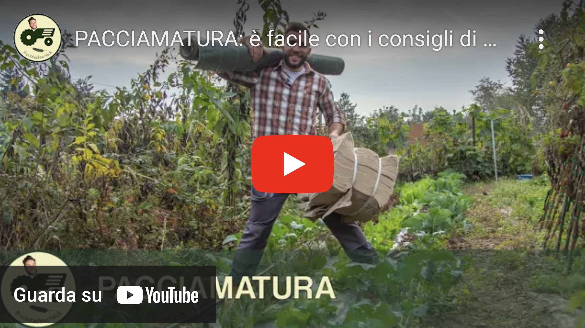 Jutatex video youtube