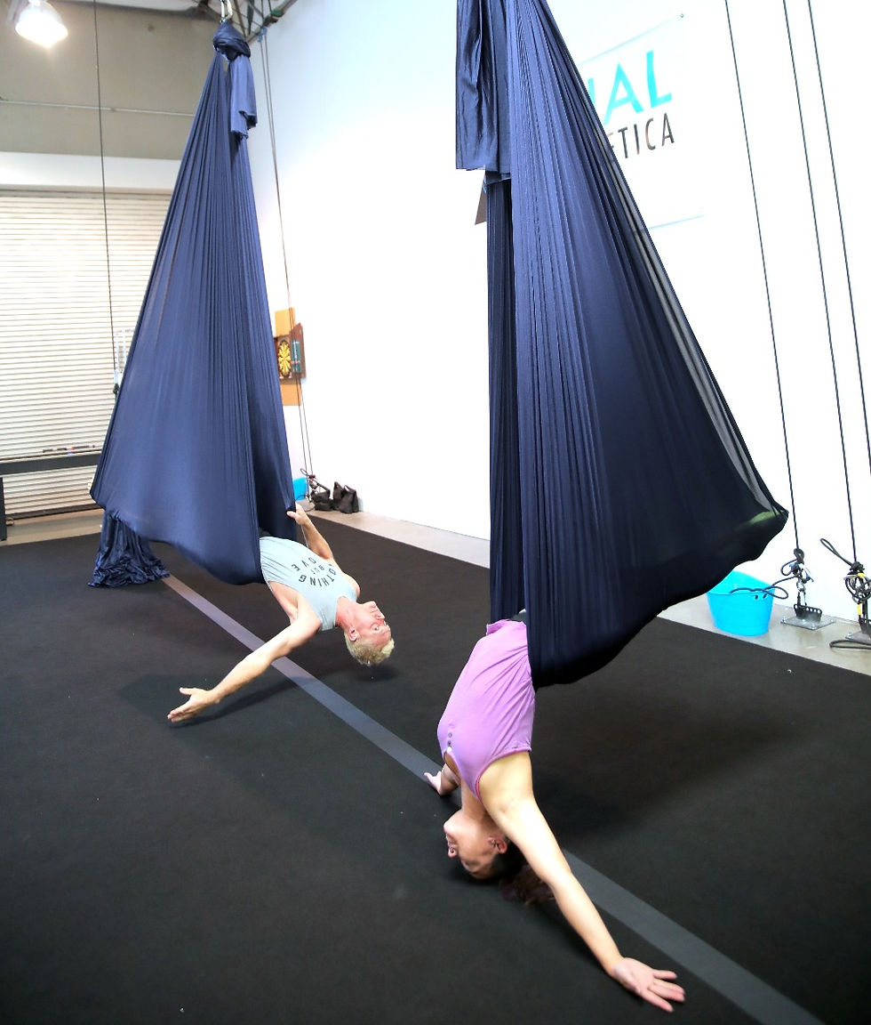 Aerial Hammock