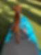Paddle board.jpg
