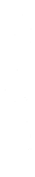 Artboard 1 copy_72x-8_edited.png