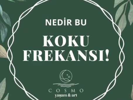 NEDİR BU KOKU FREKANSI?