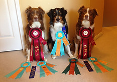 autumn mox ranger ribbons.jpg