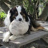 MYLES BALL Acr.jpg