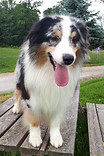 20190715_171202.jpg