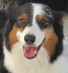 marbles 15a.jpg