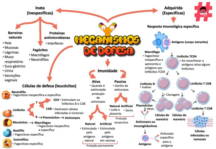 Mecanismo de defesa | nerdcursos